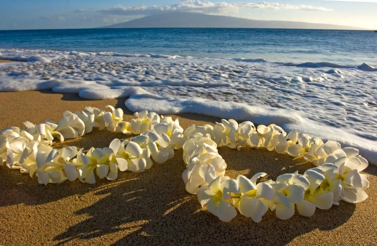 Lejlighed Deluxe Living In Waikiki - Ocean View Condo With Parking Honolulu USA